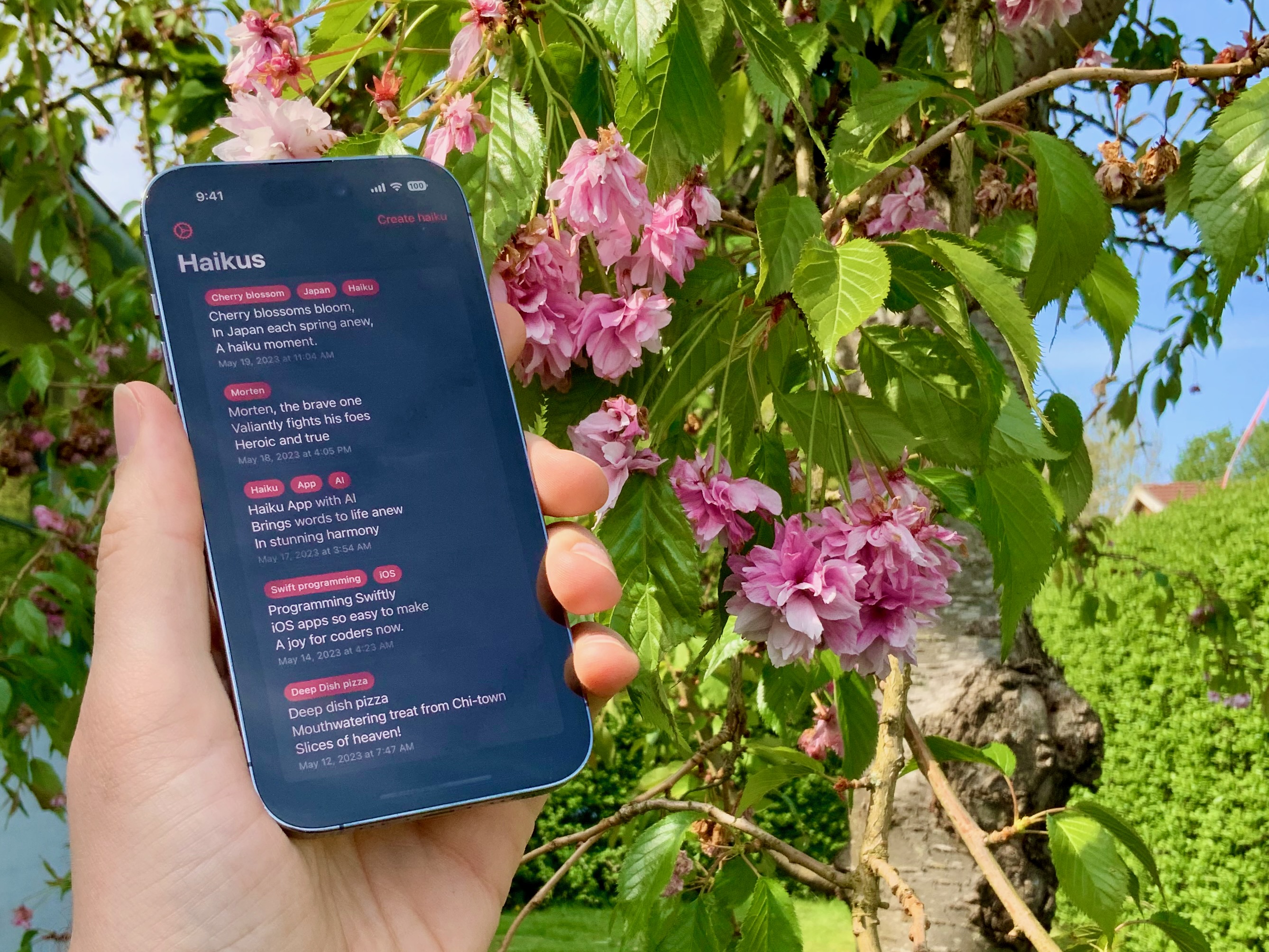 App on iPhone 14 Pro in front of Japanese Cherry blossoms preview