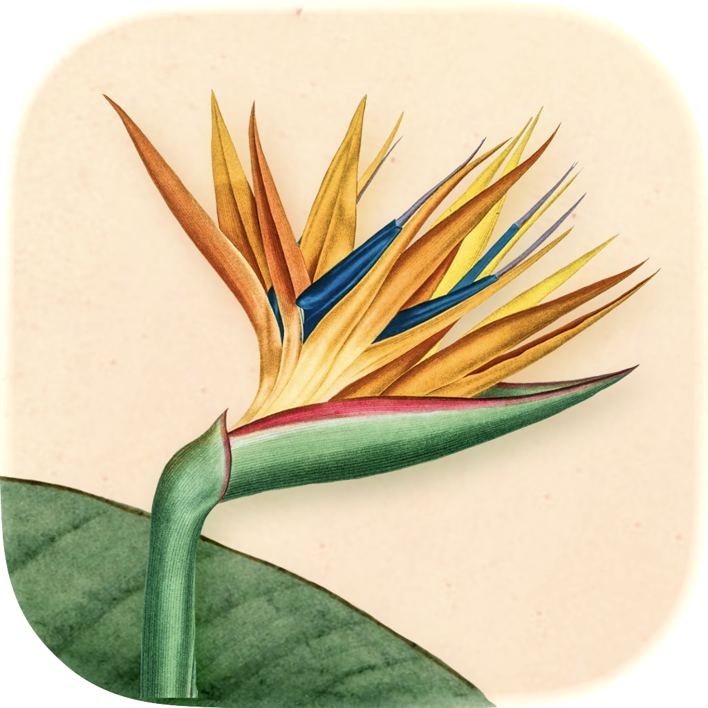 Art of Flora: Cozy Puzzles icon